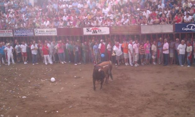 La lidia del astado de la Peña Juventud Cauriense finaliza sin heridos por asta de toro en la plaza de España