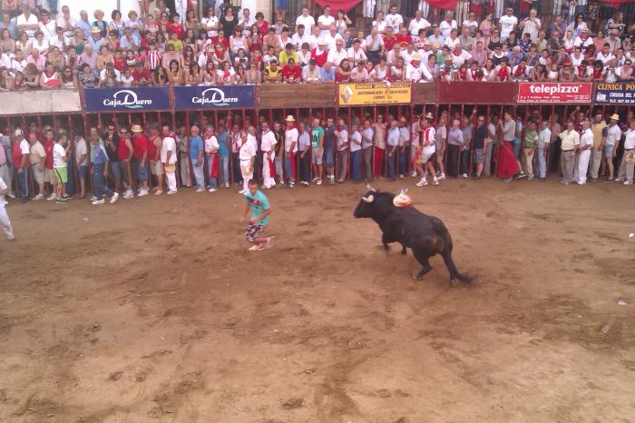 El toro de la Peña El 27 no deja heridos durante su lidia en la plaza de España de Coria