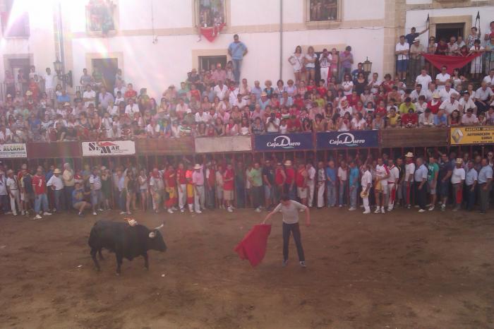 El toro de la Peña El 27 no deja heridos durante su lidia en la plaza de España de Coria