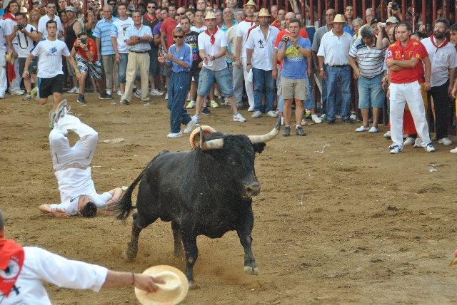 Los festejos taurinos de Coria con los astados Estudioso y Cartonero concluyen sin heridos ni percances