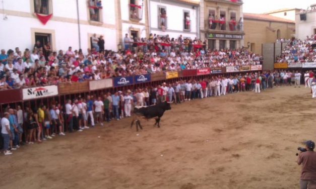 El toro de la Peña La Geta cornea a un aficionado durante el último festejo taurino de San Juan 2012
