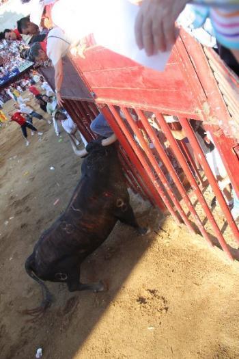 Las fiestas de San Juan 2012 de Coria concluyen con cuatro heridos por asta de toro y dos contusionados