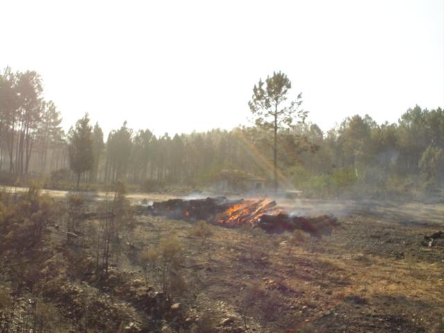 Los efectivos del Infoex dan por controlado el incendio de Puebla del Maestre que ha afectado a 54,3 hectáreas