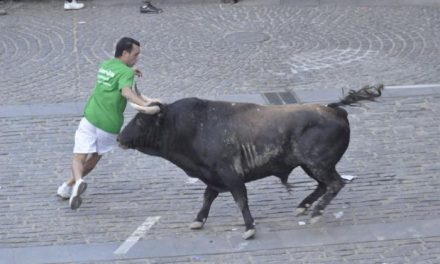 Moraleja instalará un doble perímetro de seguridad del vallado durante la lidia de los toros en las calles