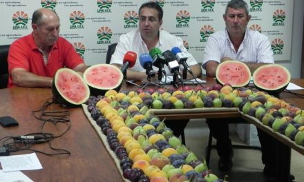 UPA-Uce Extremadura exige una ley de transparencia en el funcionamiento de la cadena agroalimentaria