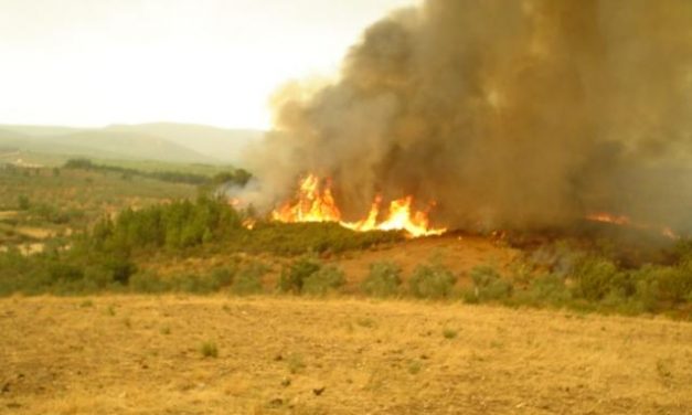 Un incendio provocado calcina una hectárea en la entrada del municipio serragatino de Acebo