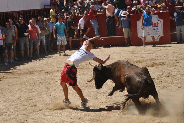 El fin de semana taurino concluye en Moraleja con éxito de público y sin ningún herido por asta de toro