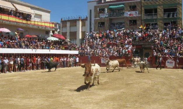 Los «patablanca» de Monteviejo protagonizan un festejo de casi 17 minutos con dos encierros en Moraleja
