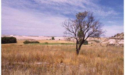 APAG Extremadura ASAJA afirma que los créditos no están llegando a los afectados por la sequía