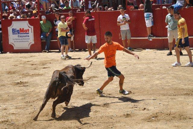 La lidia de los toros por las calles de Moraleja congrega a numeroso público y termina un día más sin heridos