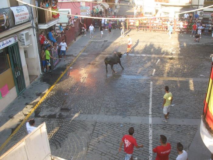 Los dos últimos toros de San Buenaventura en Moraleja cierran unas fiestas marcadas por la ausencia de heridos