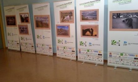 Fundación Jóvenes y Deportes expone en Valencia de Alcántara trabajos del concurso ‘observa y haz click»