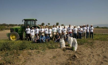 La Diputación de Cáceres entrega 10.000 kilos de patatas al Club Rotary gracias a un proyecto solidario