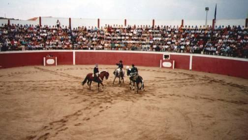La ganadería Castillejo de Huebra de Portaje llegará a Zarza la Mayor para la novillada de rejones