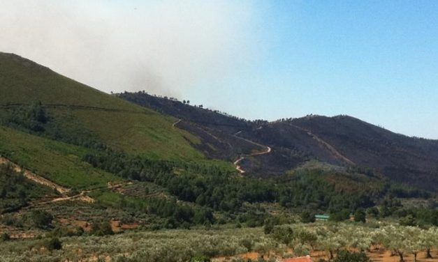 El Sistema Europeo sobre Incendios Forestales cifra en 736 las hectáreas calcinadas en el incendio de Gata