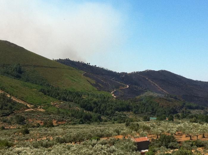 El Sistema Europeo sobre Incendios Forestales cifra en 736 las hectáreas calcinadas en el incendio de Gata