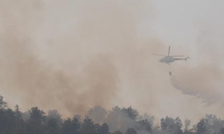 Los medios técnicos del Infoex atajan otro incendio en Sierra de Gata y sólo arden cinco hectáreas