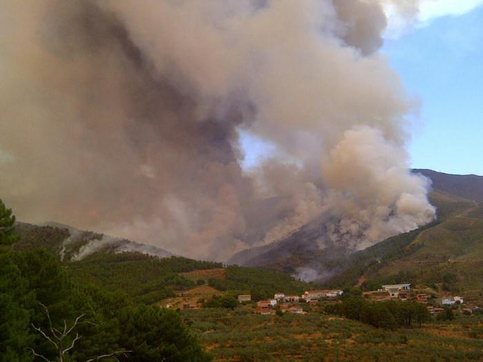 Los incendios calcinan 153.159 hectáreas en lo que va de año donde se han producido 31 grandes fuegos