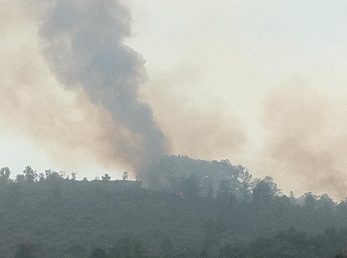 El incendio de Valverde del Fresno ha afectado a 185 hectáreas principalmente de pinar y matorral