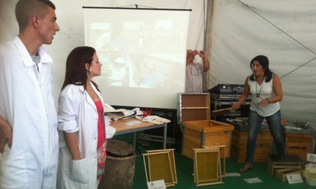 El Centro de Formación Rural de Moraleja participa en la Feria Rayana con talleres apícolas y ecuestres