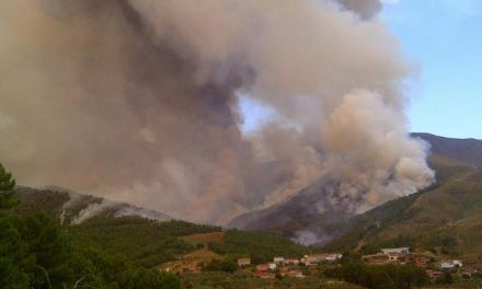 Protección Civil y Emergencias alertan por riesgo de incendios forestales y altas temperaturas