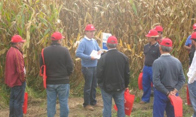 Más de medio centenar de agricultores de la provincia visitaron un campo de ensayo de maíz en Moraleja
