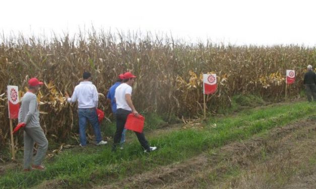 Más de medio centenar de agricultores de la provincia visitaron un campo de ensayo de maíz en Moraleja