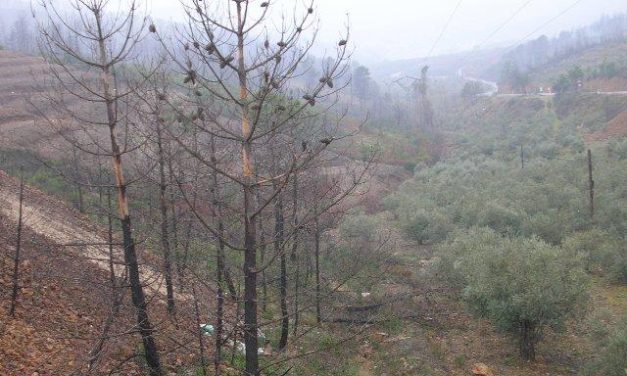 Medio Ambiente crea la comisión de seguimiento del Plan de Ordenación Forestal de la comarca de Las Hurdes