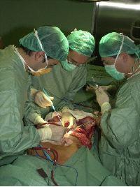 Desciende el número de donantes de órganos en Extremadura durante el pasado año 2007
