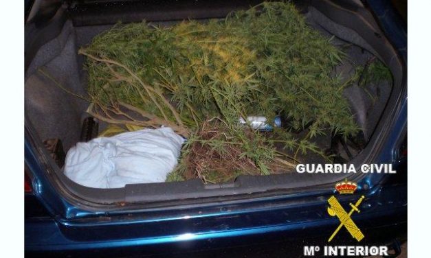 La Guadia Civil sorprende a tres jóvenes cuando transportaban marihuana que acababan de robar