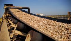 Varios Talleres de Cooperación entre Extremadura y Portugal pondrán en valor la biomasa
