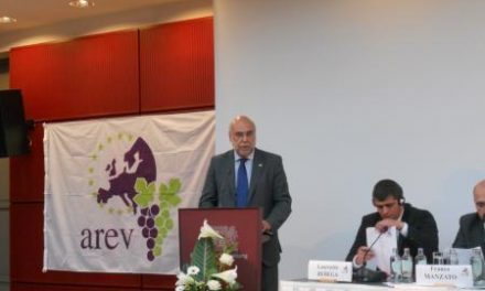El Gobierno de Extremadura rechaza la eliminación del actual sistema de derechos de plantación de viñedos
