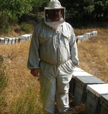 Anastasio Marcos preside la sectorial de apicultura de Cooperativas Agroalimentarias de España