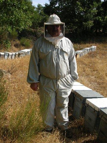 Anastasio Marcos preside la sectorial de apicultura de Cooperativas Agroalimentarias de España