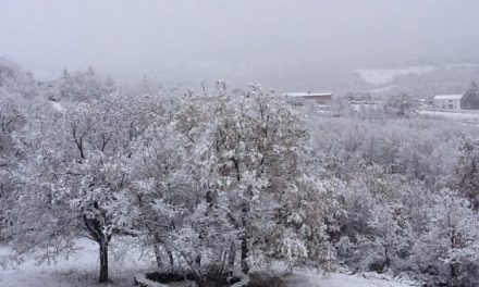 Las primeras nevadas llegan al norte de Extremadura y la provincia de Cáceres sigue en alerta hoy por nieve y viento