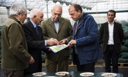 Monago subraya que el 20% de la producción mundial de nueces tiene su origen en Extremadura