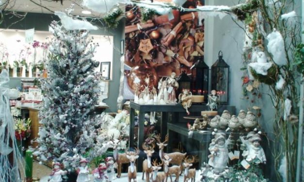 Abierto el plazo para votar los mejores escaparates navideños de la localidad de Moraleja