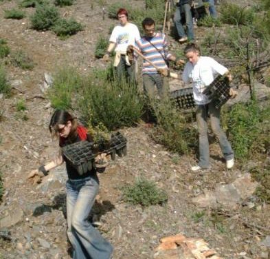 Jóvenes extremeños y lusos realizarán tareas de reforestación en la comarca de Valencia de Alcántara