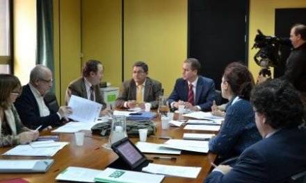 El Consejo General de Empleo de Extremadura perfila nuevas actuaciones para los próximos  meses