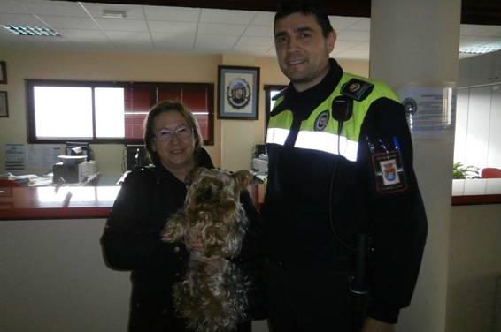 La Policía Local de Plasencia identifica a un perro extraviado hace más de un año en Casar de Cáceres