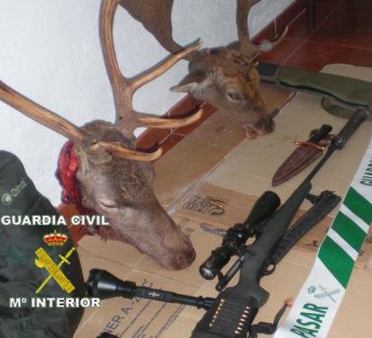 La Guardia Civil detiene a cuatro personas en Serradilla por un supuesto delito de daños a especie cinegética
