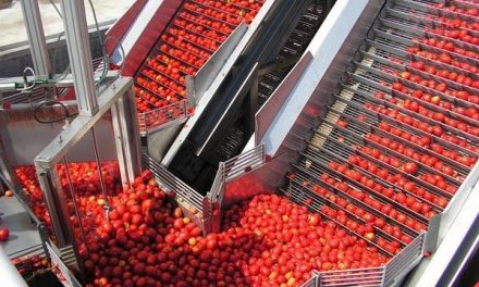 Agroexpo se centrará este jueves en el sector del tomate, la PAC y el futuro de la cadena alimentaria