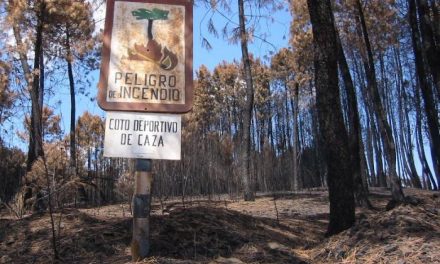 Procesado un pirómano por incendiar un bosque en 2006 en el término de Torrecilla de los Ángeles