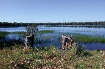 El Ministerio de Agricultura anuncia la incorporación de 30 ecosistemas al Inventario Español de Zonas Húmedas