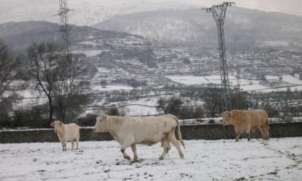 El norte de Cáceres, Villuercas y Montánchez permanecen en alerta amarilla por nevadas