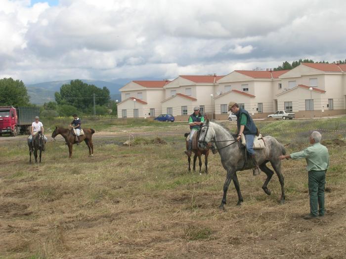Una delegación del Centro del Medio Rural de Moraleja participará en el foro de mayorales de  Olivenza