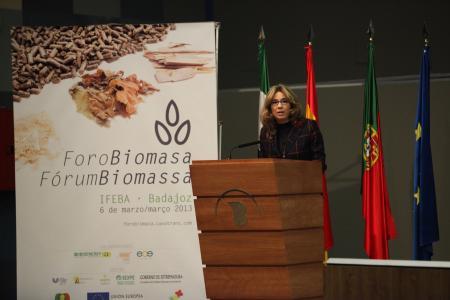 Extremadura apuesta por la biomasa como una de las alternativas más eficaces para una energía competitiva