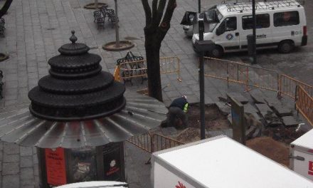 La brigada de Obras repara las baldosas levantadas por las raíces de los árboles de la plaza Mayor de Plasencia