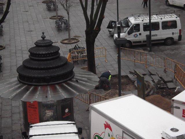 La brigada de Obras repara las baldosas levantadas por las raíces de los árboles de la plaza Mayor de Plasencia