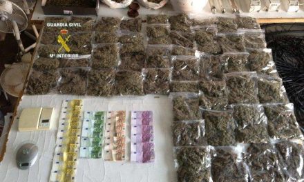 La Guardia Civil desmantela en Jarandilla de la Vera un punto de cultivo y venta de marihuana a gran escala